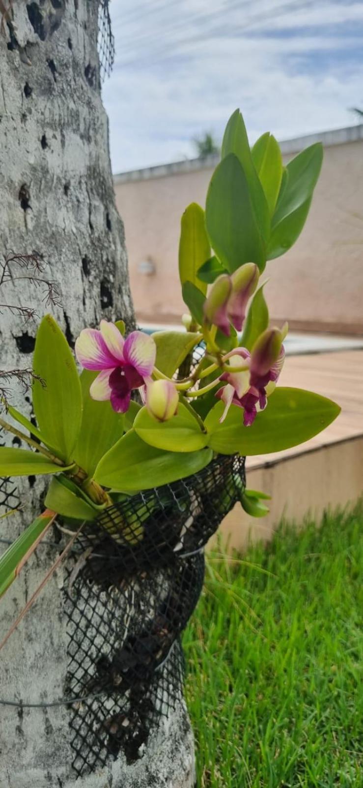 Uma Casa Para O Descanso! Camaçari Exteriér fotografie